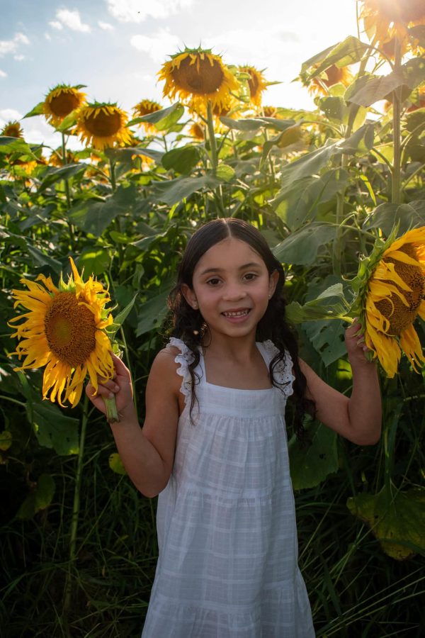 Sunflower Sessions – August 17th! ($20.00 Retainer) - Image 11