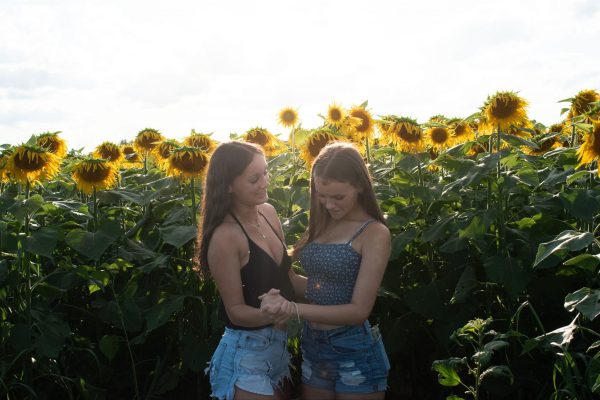 Sunflower Sessions – August 17th! ($20.00 Retainer) - Image 10