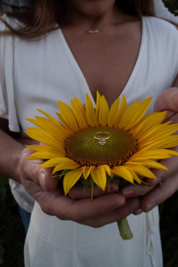 Sunflower Sessions – August 17th! ($20.00 Retainer) - Image 6