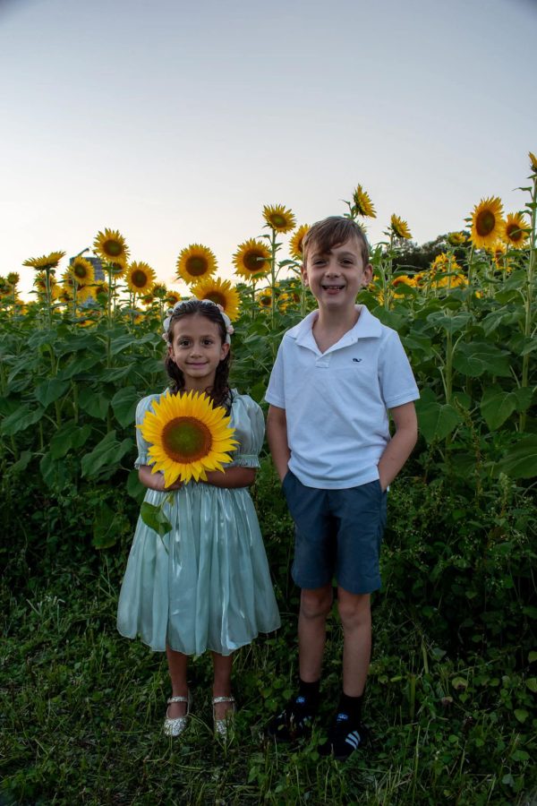 Sunflower Sessions – August 17th! ($20.00 Retainer) - Image 2